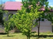 İcarəyə verilir 3 otaqlı 60 m2 bağ evi Qəbələ