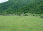 Satılır 24 sot torpaq İsmayıllı