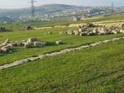 Satılır 50 sot torpaq Çiçək