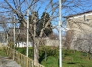 Satılır 2 otaqlı 24 m2 bağ evi Maştağa