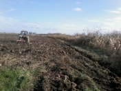 Satılır 241 sot torpaq Xaçmaz