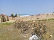 Satılır 100 sot torpaq Məhəmmədli