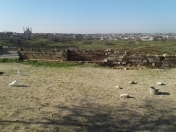 Satılır 2 otaqlı 18 m2 bağ evi Nardaran