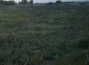 Satılır 78 sot torpaq Xaçmaz