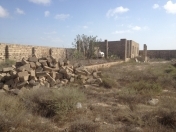 Satılır 11 sot torpaq Zirə