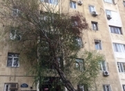 Satılır 2 otaqlı 80 m2 köhnə tikili Elmlər Akademiyası m.