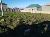 Satılır 3 sot torpaq Çiçək