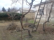 Satılır 3 sot torpaq Mehdiabad