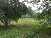 Satılır 20 sot torpaq Quba