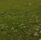 Satılır 6 sot torpaq Hökməli