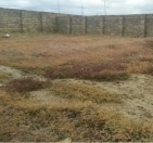 Satılır 10 sot torpaq Dübəndi bağları