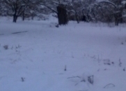 Satılır 10 sot torpaq Quba