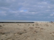 Satılır 5 otaqlı 20000 m2 obyekt Neftçala