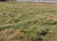 Satılır 100 sot torpaq Kürdəmir