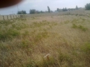 Satılır 12 sot torpaq Kürdəxanı