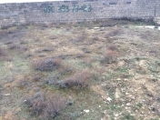 Satılır 3 sot torpaq Badamdar