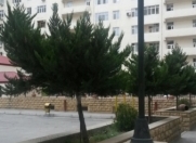 Satılır 2 otaqlı 80 m2 yeni tikili Nəriman Nərimanov m.