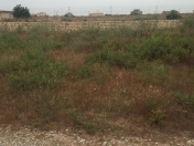 Satılır 10 sot torpaq Pirşağı