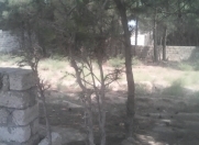 Satılır 3 sot torpaq Ambassador otel