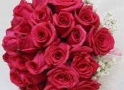 İcarəyə verilir 1 otaqlı 28 m2 yeni tikili 1 mkr