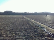 Satılır 94 sot torpaq Hövsan