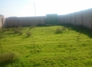Satılır 5 sot torpaq Mehdiabad