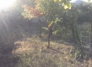 Satılır 3 sot torpaq Naxçıvan