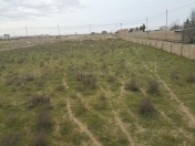 Satılır 30 sot torpaq Zirə