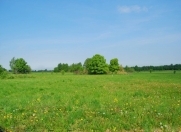 Satılır 8 sot torpaq Hökməli