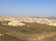 Satılır 8 sot torpaq Qobu