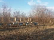 Satılır 18 sot torpaq Xaçmaz