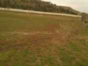 Satılır 800 sot torpaq Şabran