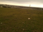 Satılır 700 sot torpaq Şabran