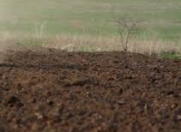 Satılır 14 sot torpaq 5 mkr