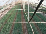 Satılır 7 otaqlı 8000 m2 obyekt Maştağa