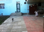 Satılır 4 otaqlı 110 m2 həyət evi İçəri Şəhər