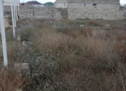 Satılır 2 sot torpaq Y.Ramana