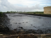 Satılır 5 sot torpaq Saray