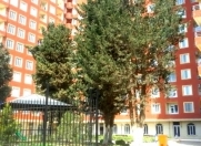 Satılır 2 otaqlı 52 m2 yeni tikili Memar Əcəmi m.