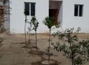 Satılır 3 otaqlı 100 m2 bağ evi Buzovna