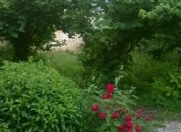 Satılır 3 otaqlı 8 m2 bağ evi Qusar