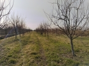 Satılır 30 sot torpaq Quba