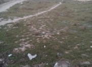 Satılır 3 sot torpaq Masazır