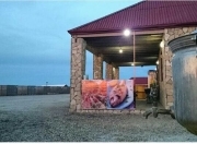 İcarəyə verilir 20 otaqlı 15000 m2 obyekt Novxanı