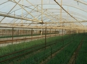 Satılır 2 otaqlı 80 m2 obyekt Buzovna