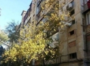 Satılır 1 otaqlı 42 m2 köhnə tikili Köhnə Günəşli