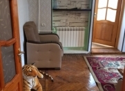 Satılır 1 otaqlı 39 m2 köhnə tikili Əhmədli