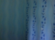 Satılır 2 otaqlı 70 m2 həyət evi Zabrat 1