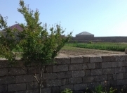 Satılır 40 sot torpaq Türkan