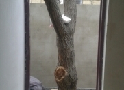 Satılır 1 otaqlı 34 m2 həyət evi Xırdalan